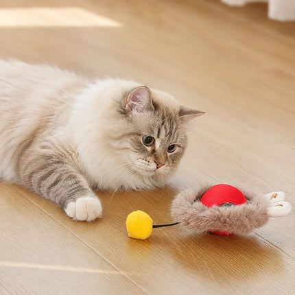 Interactive Rolling Pet Toy with Motion Sensors | Engaging Playtime for Dogs and Cats