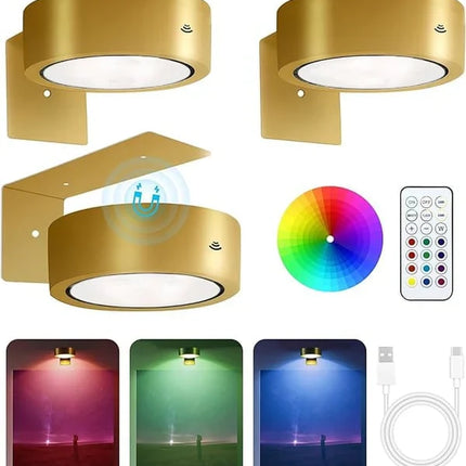 Picture Lights with Remote, Rechargeable Battery Picture Light for Wall Art