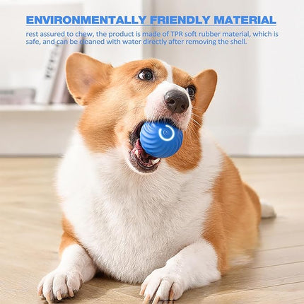 Interactive Dog Ball with Flashing Lights