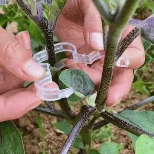 Plant Support Clips with Adjustable Design | Durable Garden Accessories for Healthy Growth