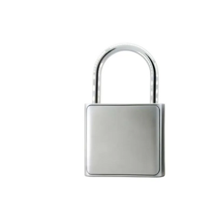 Smart Fingerprint Door Lock with Auto-Lock Feature | Keyless Entry for Enhanced Security