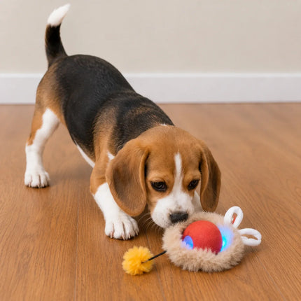 Interactive Rolling Pet Toy with Motion Sensors | Engaging Playtime for Dogs and Cats
