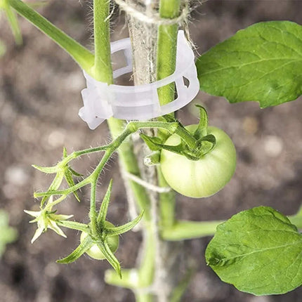 Tomato Clips for Plant Support, Reusable Plant Support Clips for Trellis and Stakes, Garden Supplies