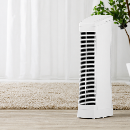 Ionic Air Purifier with 9 Fan Speeds | Quiet Operation for Rooms up to 400 Sq Ft