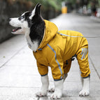 Yellow / S