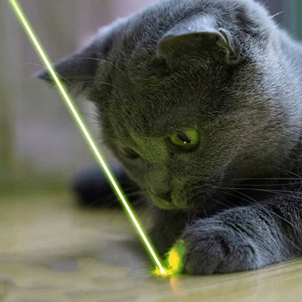 Green Laser Pointer with Key Safety Lock, Highly Visible Long Range Beam for Presentations, Astronomy and Cat Play
