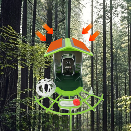 Bird Feeder Camera with 2K HD Video | WiFi App Control for Backyard Bird Watching