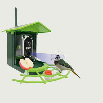 Bird Feeder Camera with 2K HD Video | WiFi App Control for Backyard Bird Watching