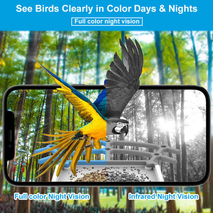 Bird Feeder Camera with Solar Roof for HD Video Capture | Smart App Access for Easy Birdwatching