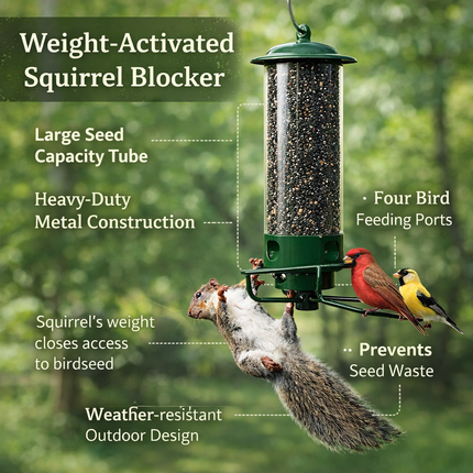 Squirrel Proof Bird Feeder with Metal Frame & Four Feeding Ports | Durable Outdoor Feeder for Attracting Backyard Birds