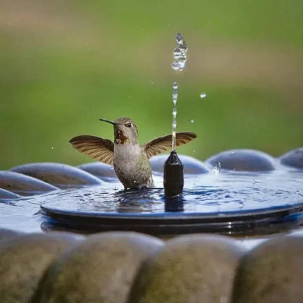 Solar-Powered Water Fountain with Adjustable Spray Height | Elegant Design for Garden Serenity