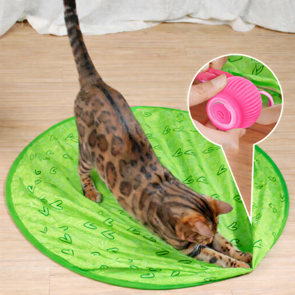 Interactive Cat Toy Ball with Smart Touch Activation | Automatic Movement for Indoor Play and Exercise