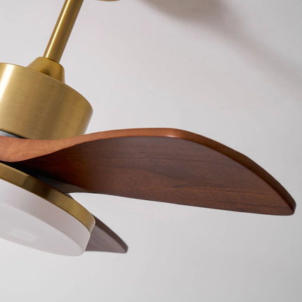 Ceiling Fan Light with Brushed Brass Stem and Wooden Blades | Whisper-Quiet DC Motor for Adjustable Comfort 4