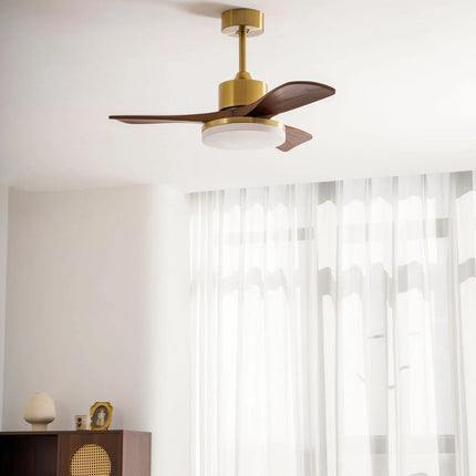 Ceiling Fan Light with Brushed Brass Stem and Wooden Blades | Whisper-Quiet DC Motor for Adjustable Comfort 6