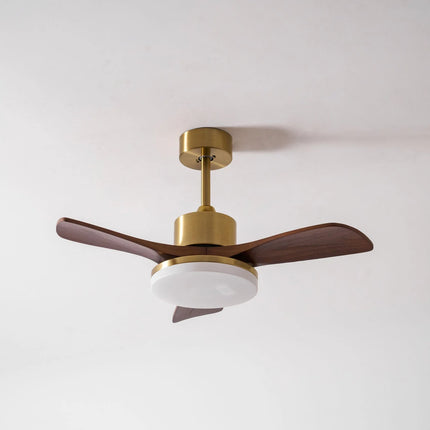 Ceiling Fan Light with Brushed Brass Stem and Wooden Blades | Whisper-Quiet DC Motor for Adjustable Comfort 8