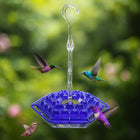 Hummingbird Feeder with Ant Moat and 30 Ports, Hanging Hummingbird Feeder with Easy Fill Wide Mouth, 12 oz Bird Feeder_00