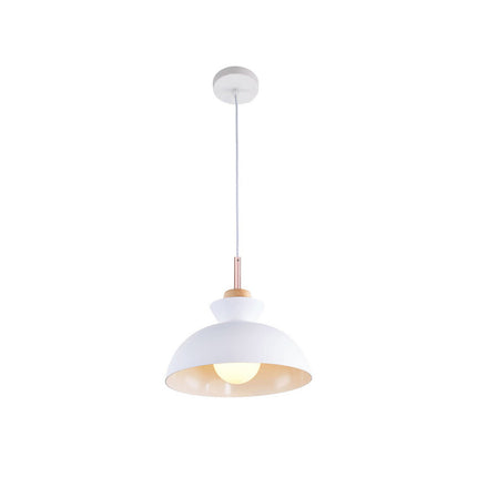 Modern Single Pendant Dome Light with Adjustable Height | Scandinavian Metal Lamp for Versatile Indoor Use