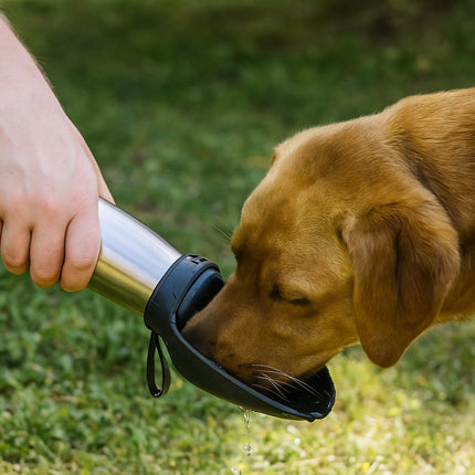 Stainless Steel Dog Water Bottle with Insulated Design | Travel Hydration Container for Easy On-the-Go Use