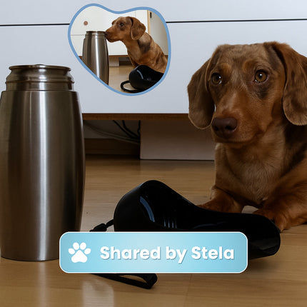 Stainless Steel Dog Water Bottle with Insulated Design | Travel Hydration Container for Easy On-the-Go Use