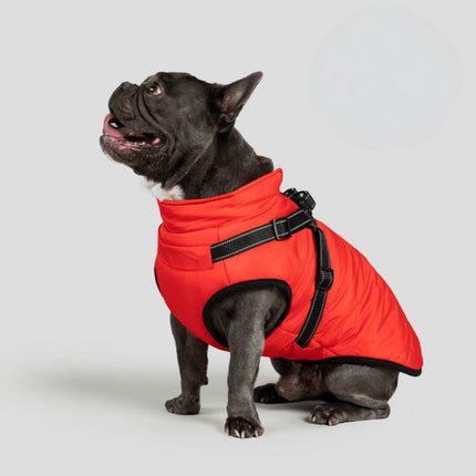 3-in-1 Dog Jacket Winter Coat with Removable Liner | Versatile Layering for Wind & Moisture Protection