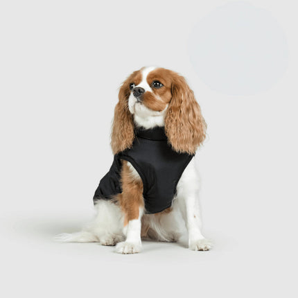 3-in-1 Dog Jacket Winter Coat with Removable Liner | Versatile Layering for Wind & Moisture Protection
