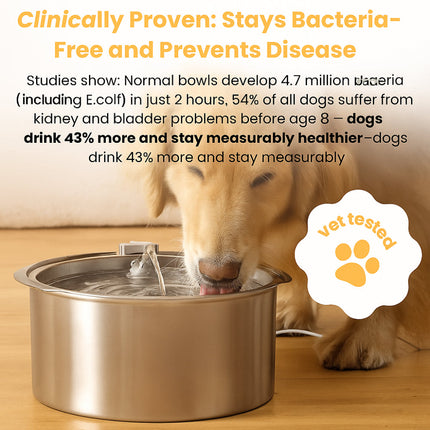 Stainless Steel Pet Water Fountain with 8-Liter Capacity | Automatic Drinking Bowl for Hydration and Easy Cleaning