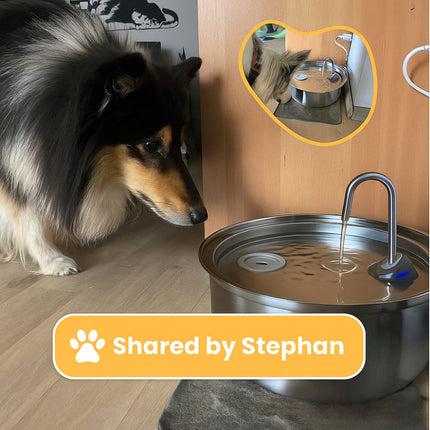 Stainless Steel Pet Water Fountain with 8-Liter Capacity | Automatic Drinking Bowl for Hydration and Easy Cleaning