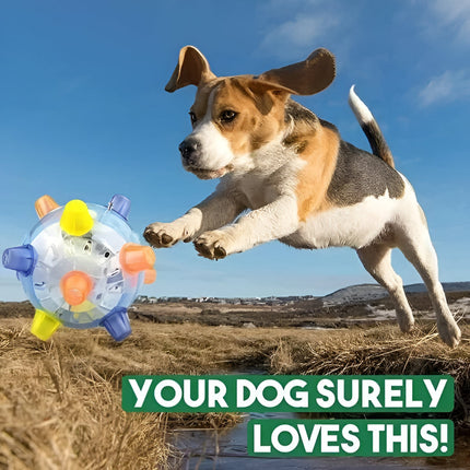 LED Jumping Dog Toy Ball with Interactive Lights | Engaging Play for Active Dogs