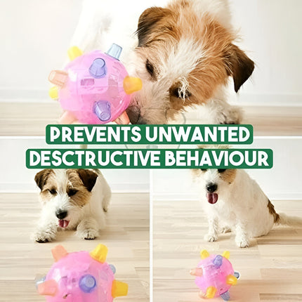 LED Jumping Dog Toy Ball with Interactive Lights | Engaging Play for Active Dogs