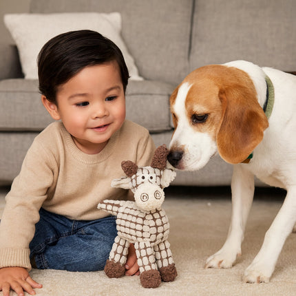 Dog Chew Toy Rope with Squeaker | Fun Animal Shape for Active Playtime and Chewing