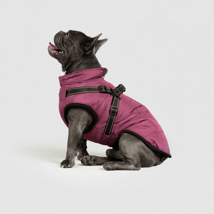 3-in-1 Dog Jacket Winter Coat with Removable Liner | Versatile Layering for Wind & Moisture Protection