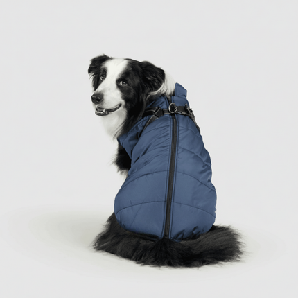 3-in-1 Dog Jacket Winter Coat with Removable Liner | Versatile Layering for Wind & Moisture Protection