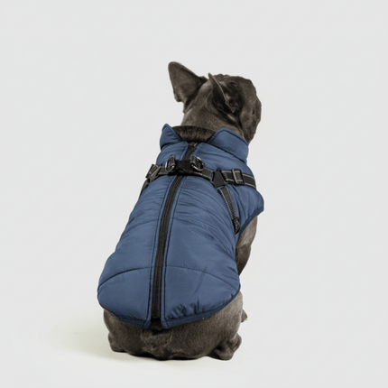 3-in-1 Dog Jacket Winter Coat with Removable Liner | Versatile Layering for Wind & Moisture Protection
