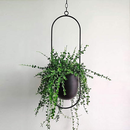 Hanging Planter with Minimalist Iron Frame | Modern Wall or Ceiling Mount for Stylish Indoor Décor