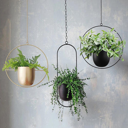 Hanging Planter with Minimalist Iron Frame | Modern Wall or Ceiling Mount for Stylish Indoor Décor