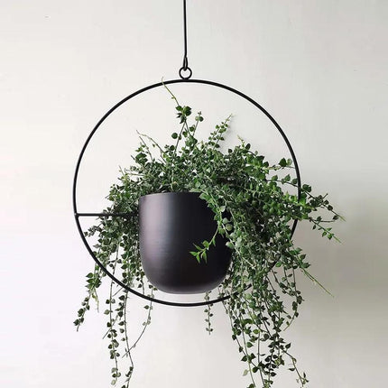 Hanging Planter with Minimalist Iron Frame | Modern Wall or Ceiling Mount for Stylish Indoor Décor