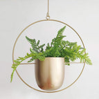 Gold / Round