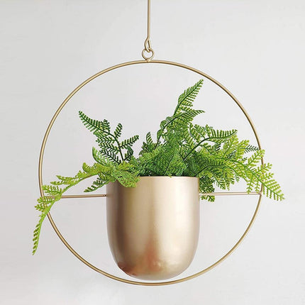 Hanging Planter with Minimalist Iron Frame | Modern Wall or Ceiling Mount for Stylish Indoor Décor