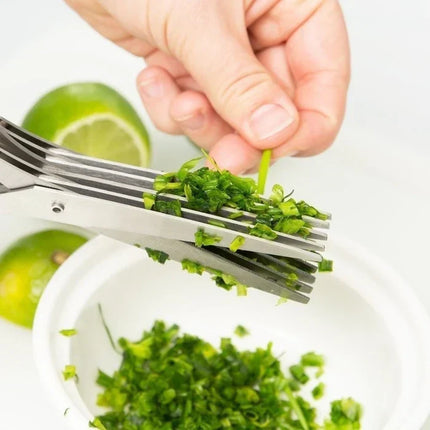 Herb Scissors with Cleaning Comb, Multi Blade Stainless Steel Kitchen Shears for Parsley and Chives