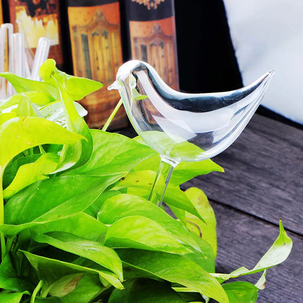 Self-Watering Plant Glass Bulbs with Eco-Friendly Design | Set of 2 for Hassle-Free Plant Care