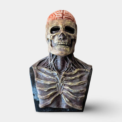 Skeleton Mask with Movable Jaw Detail | Full Head Coverage for Scary Halloween Costumes