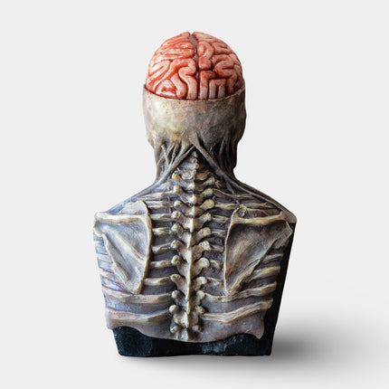 Skeleton Mask with Movable Jaw Detail | Full Head Coverage for Scary Halloween Costumes