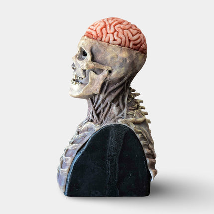 Skeleton Mask with Movable Jaw Detail | Full Head Coverage for Scary Halloween Costumes