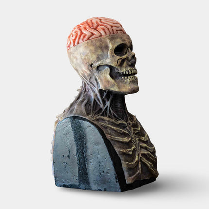 Skeleton Mask with Movable Jaw Detail | Full Head Coverage for Scary Halloween Costumes