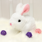 Toy Rabbit for Kids, Interactive Plush Bunny Toy that Walks and Wags Tail, Realistic Stuffed Bunny Toy Gift_00