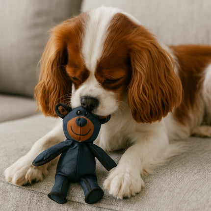 Durable Dog Chew Toy in Plush Bear Shape for Tough Chewing | Fun Play Accessory for All Breeds