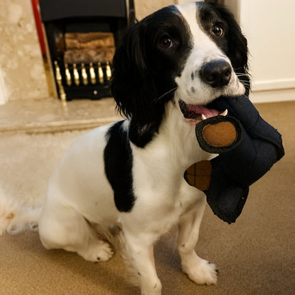 Durable Dog Chew Toy in Plush Bear Shape for Tough Chewing | Fun Play Accessory for All Breeds