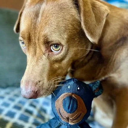 Durable Dog Chew Toy in Plush Bear Shape for Tough Chewing | Fun Play Accessory for All Breeds