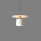 White | Diameter 30cm / Warm White