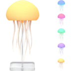 Transparent Base